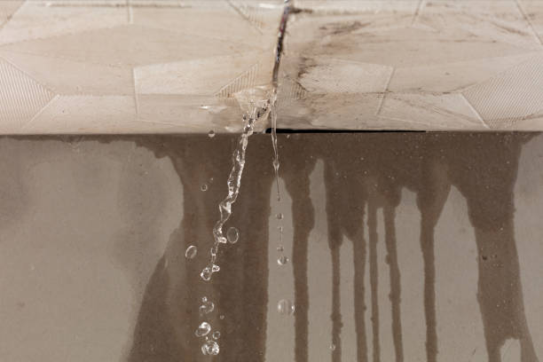 Professional Burst Pipe Cleanup technician working in Idanha, OR